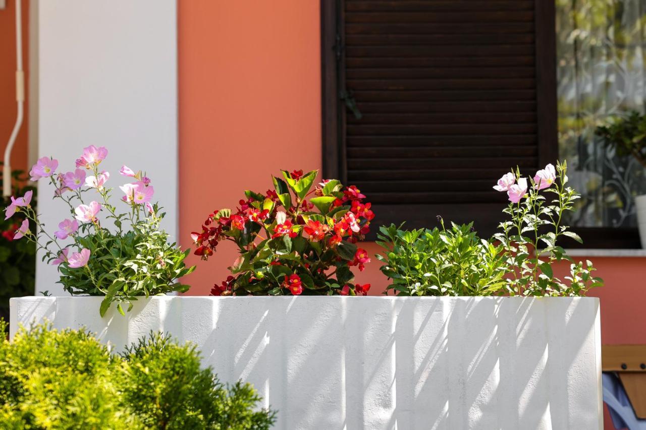 Villa Moras Paralía エクステリア 写真